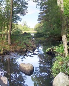 Section 1 Image