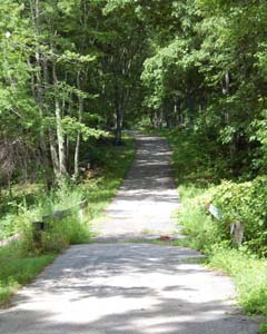 Section 3 Image