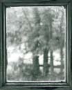 109M: View Through Old Glass, Sandown Meetinghouse