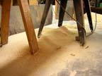 Saw dust under the table saw